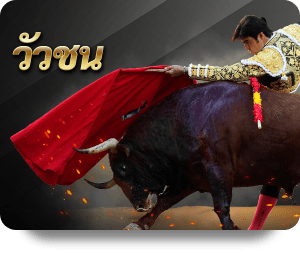 วัวชน-bullfight