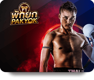 tigerpakyok-มวยพักยก